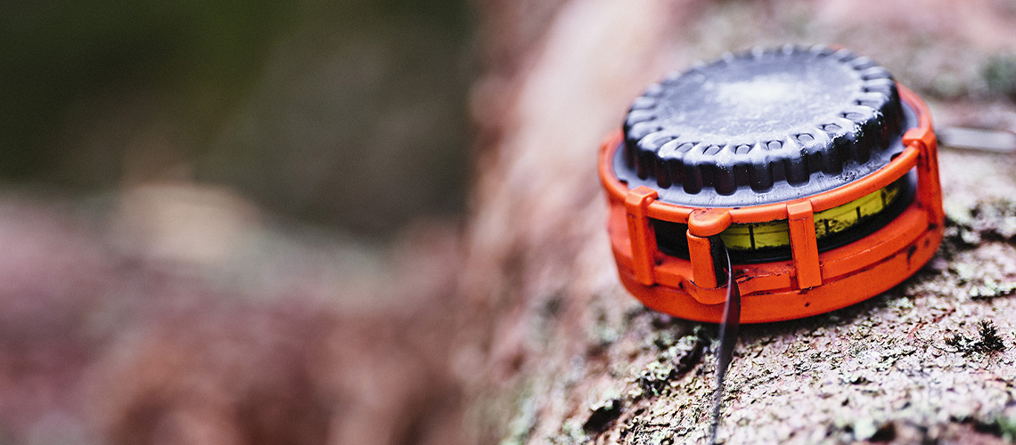 Virkesmätning - så fungerar det