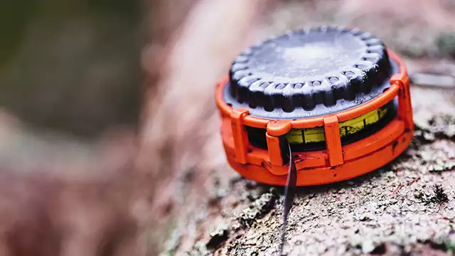 Virkesmätning - så fungerar det