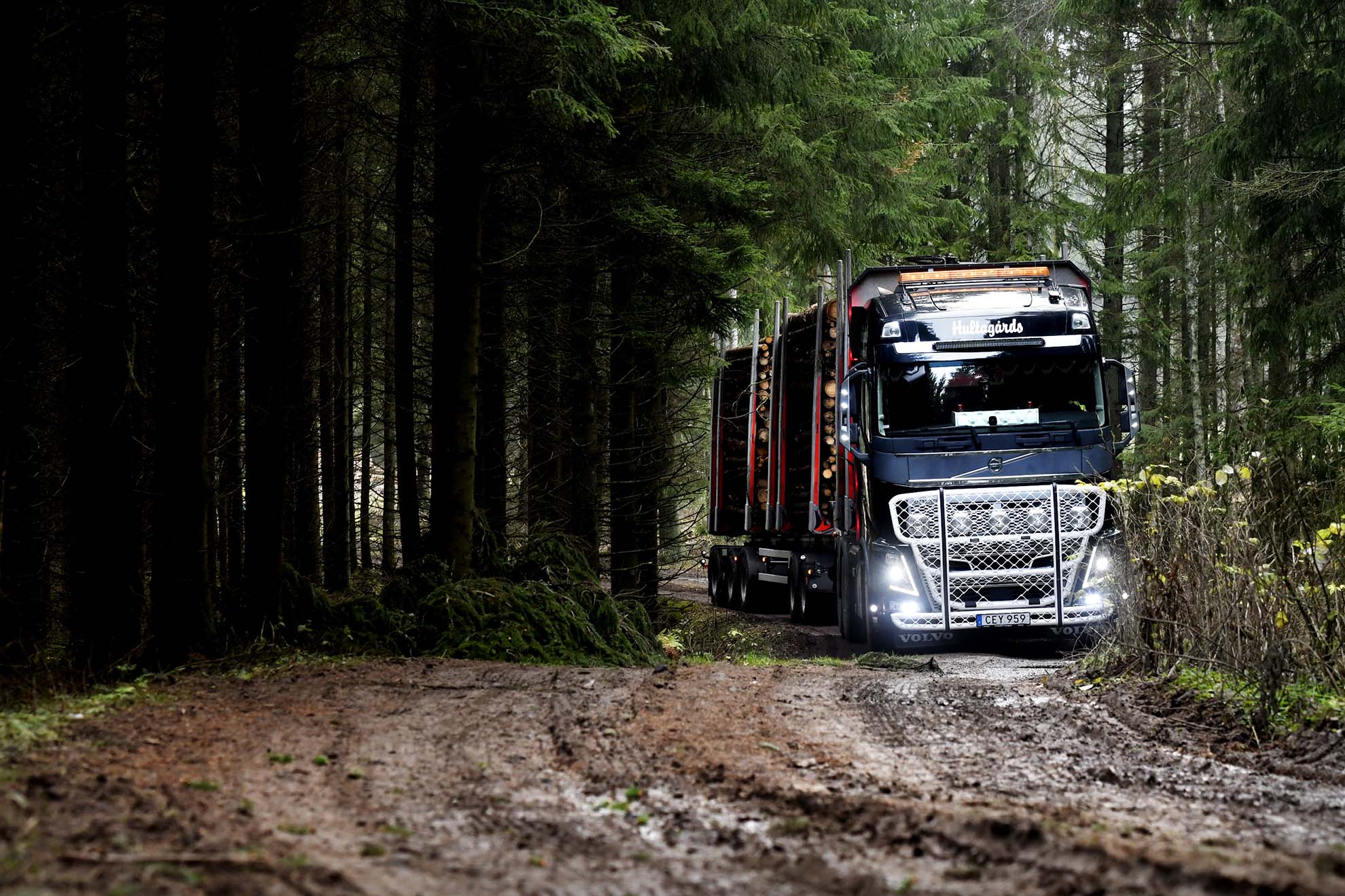 Nu är det möjligt att ta del av inkomna leveransaviseringar