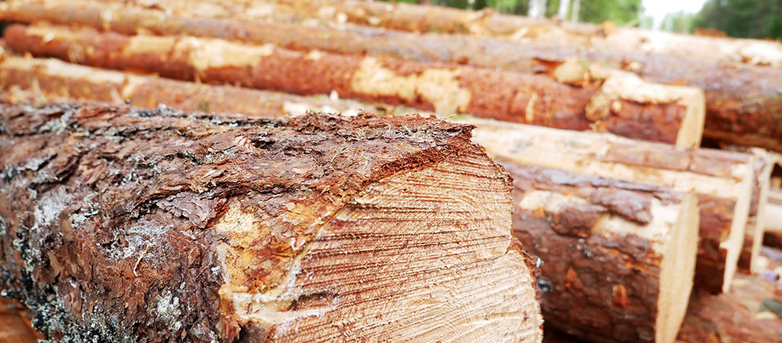 Certikonto får ny funktionalitet och anpassas till VIOL 3