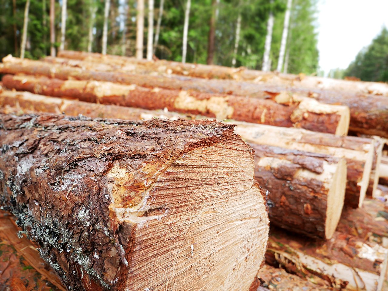 Slutdatum för matrisfub beslutat