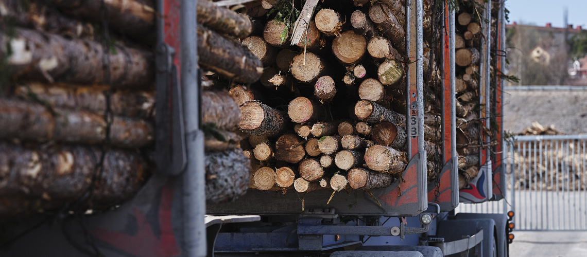 Imponerande transporteffektivitet i skogsbranschen