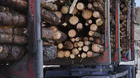 Imponerande transporteffektivitet i skogsbranschen