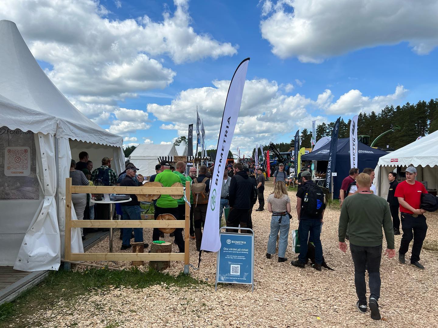 Resultat och vinnare tävling Elmia 2022