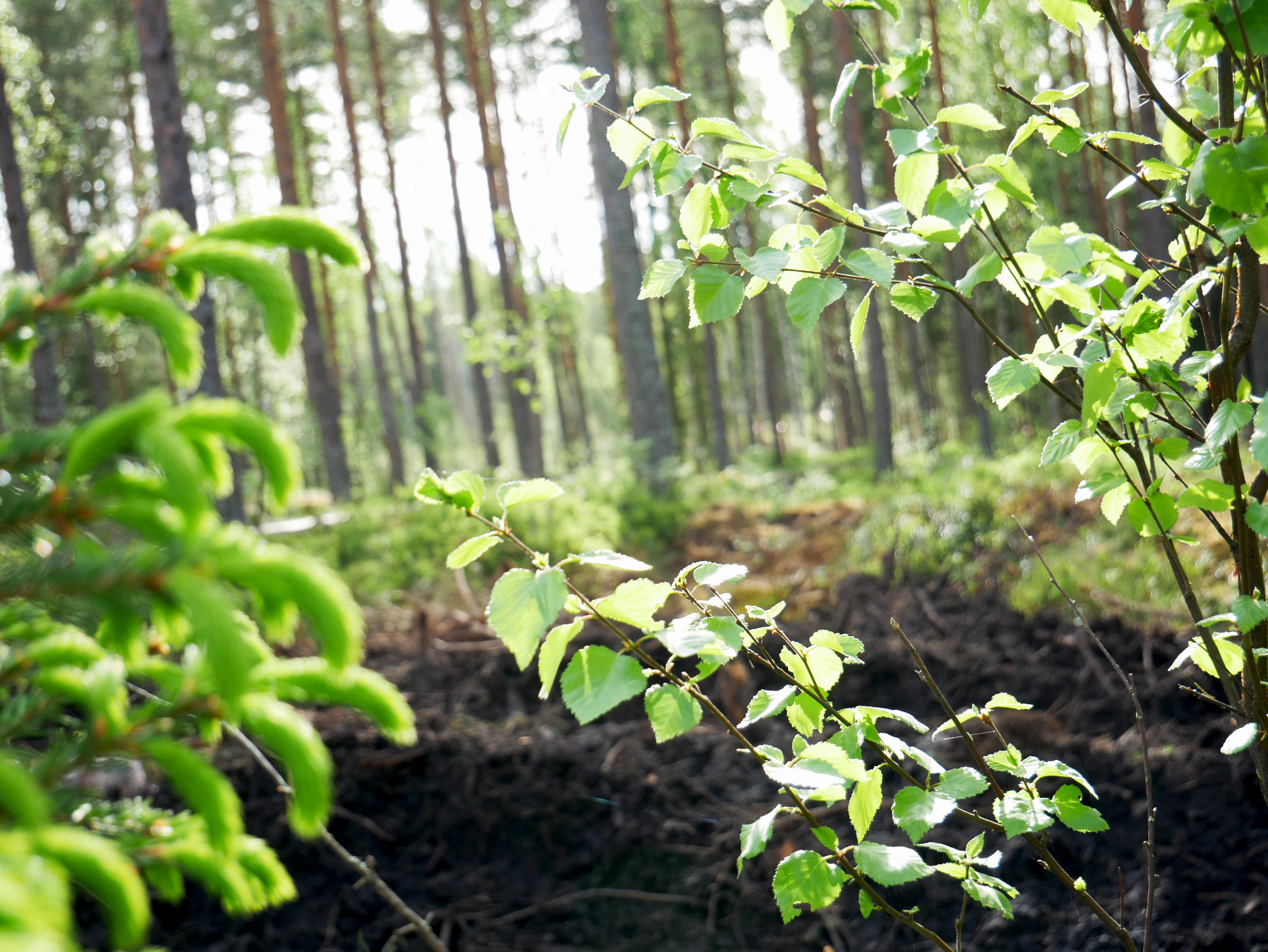 Begränsad support under sommaren
