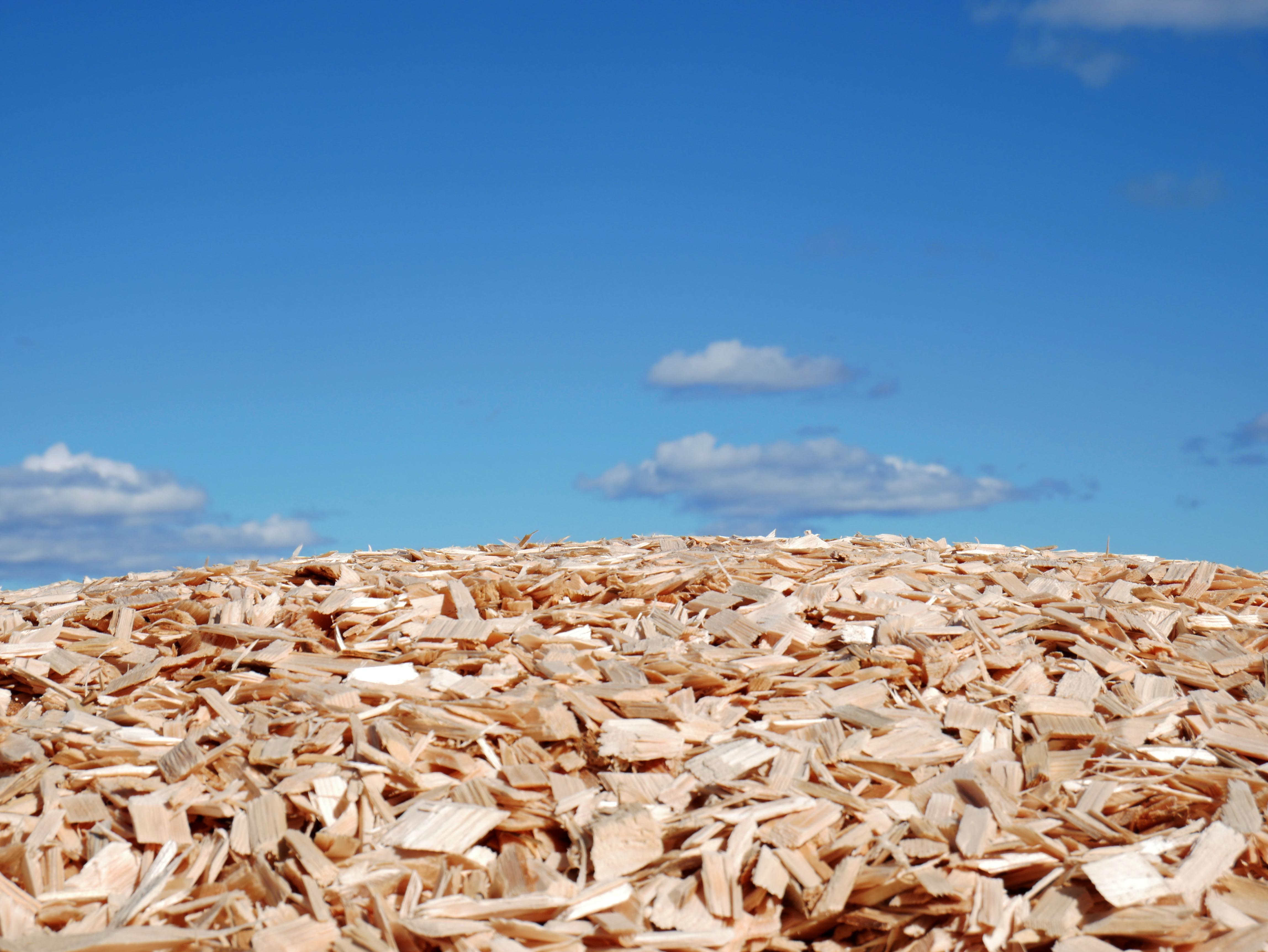 Biometrias kundundersökning 2023