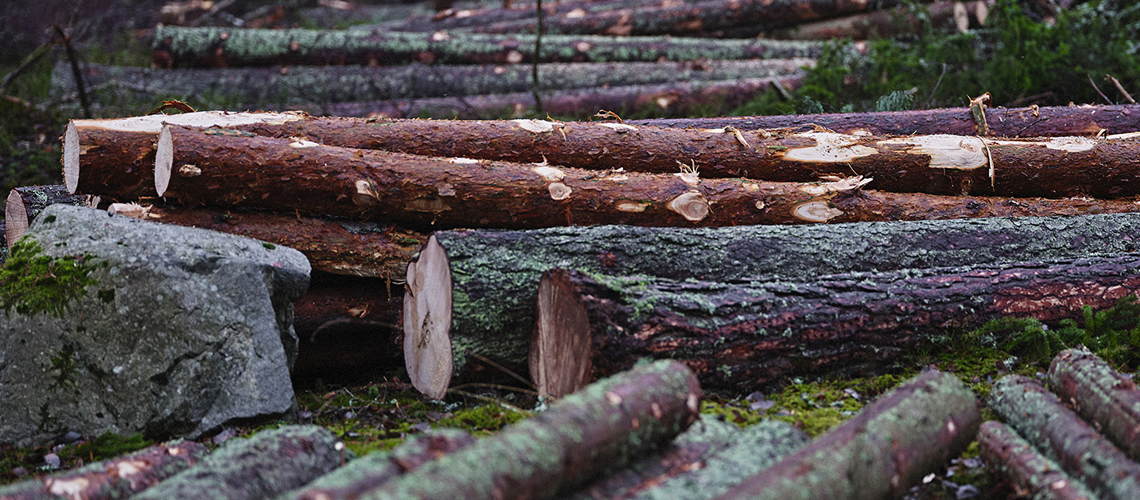 Listor för utsökning av masterdata - sortiment och plats