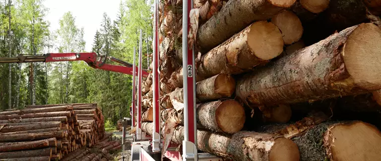 Är du biobränslekund och även intresserad av transport?