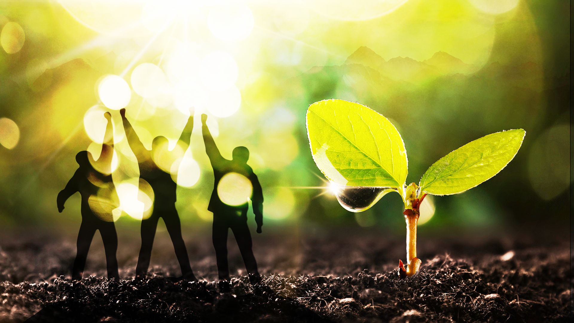 Biometrias medlemsmöten 2025