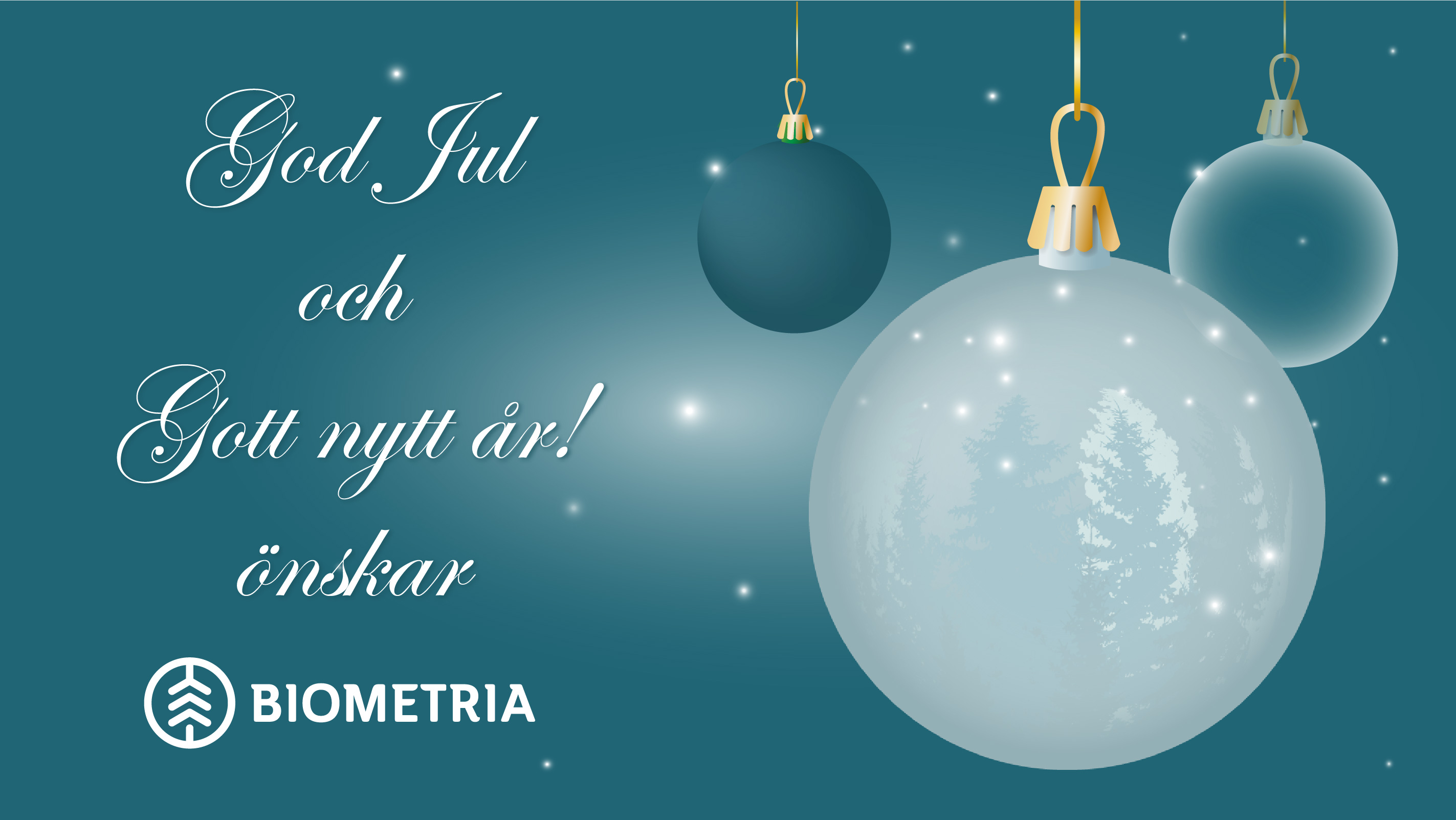 Biometria önskar en God Jul!