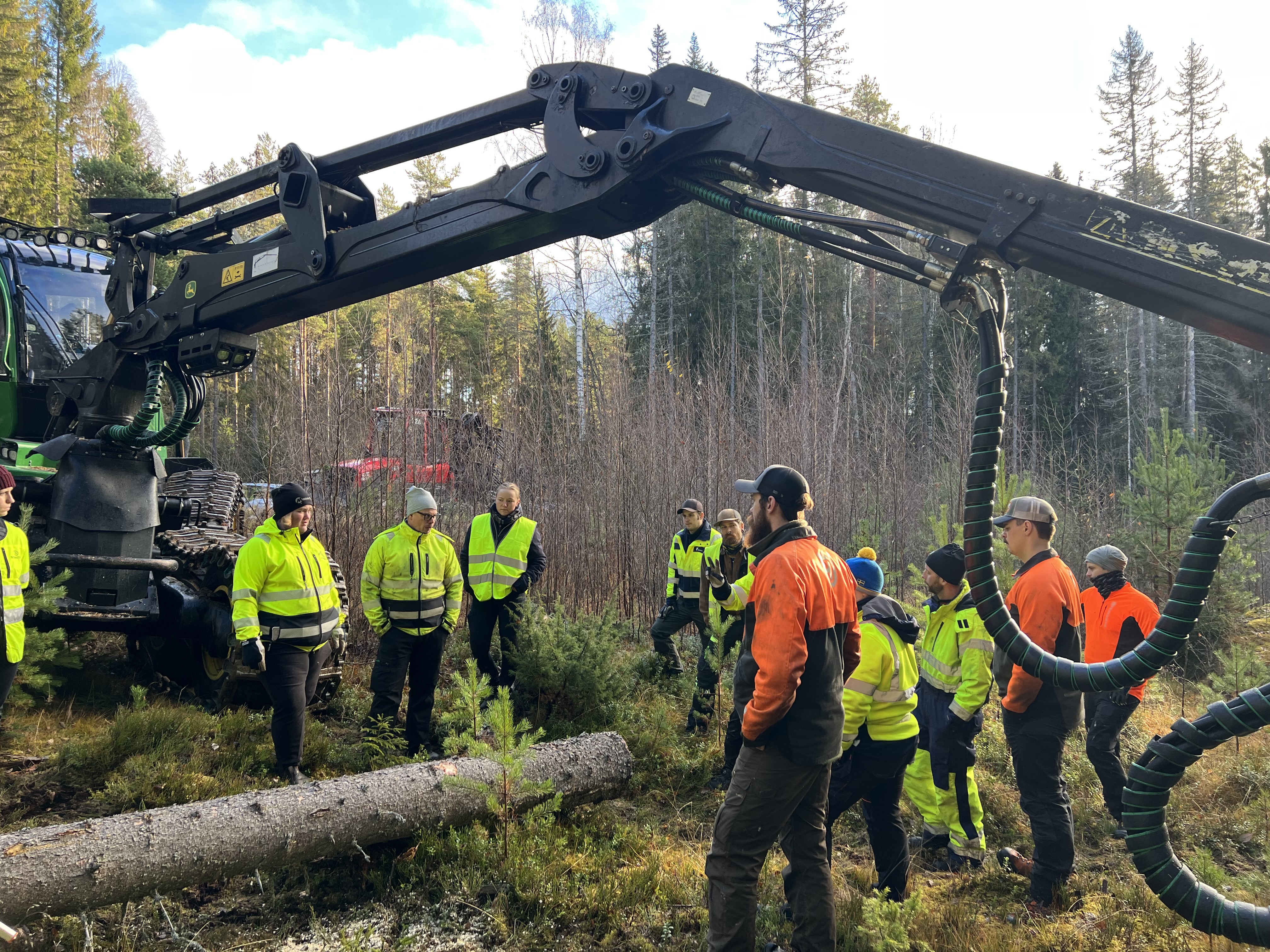 Guldkortet: En av skogsbranschens äldsta och mest populära utbildningar