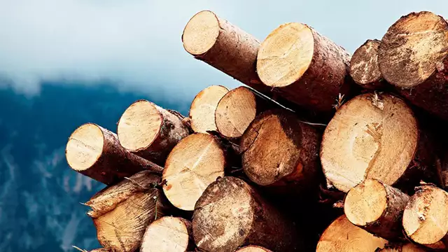 Beställning av Site certikonto