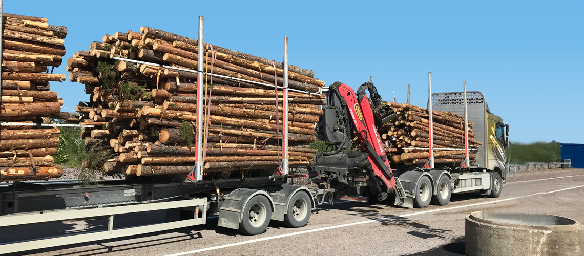 Timmerbil med last, bankbredd