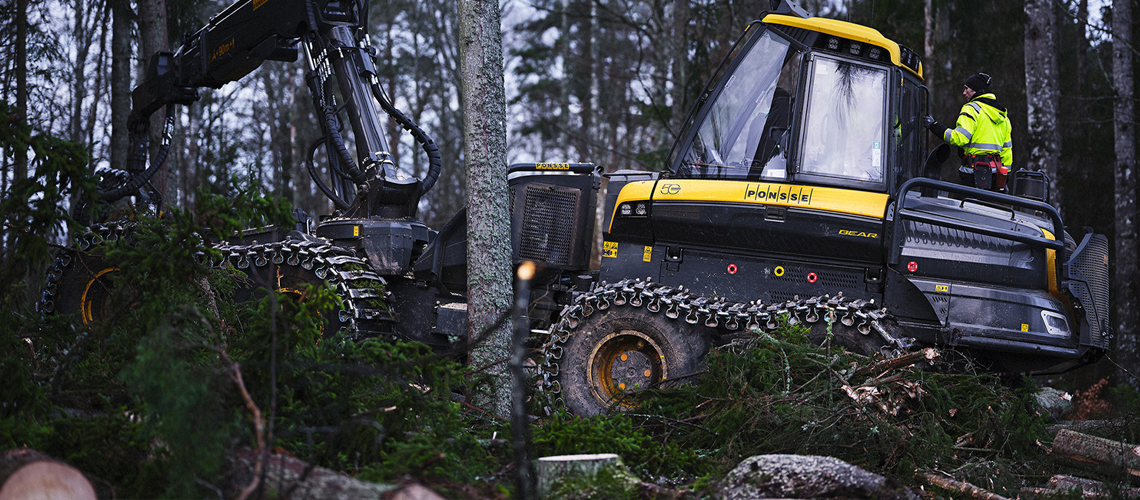 Få tillgång till kvalitetssäkringsrapporter i Rapportportalen innan Go Live