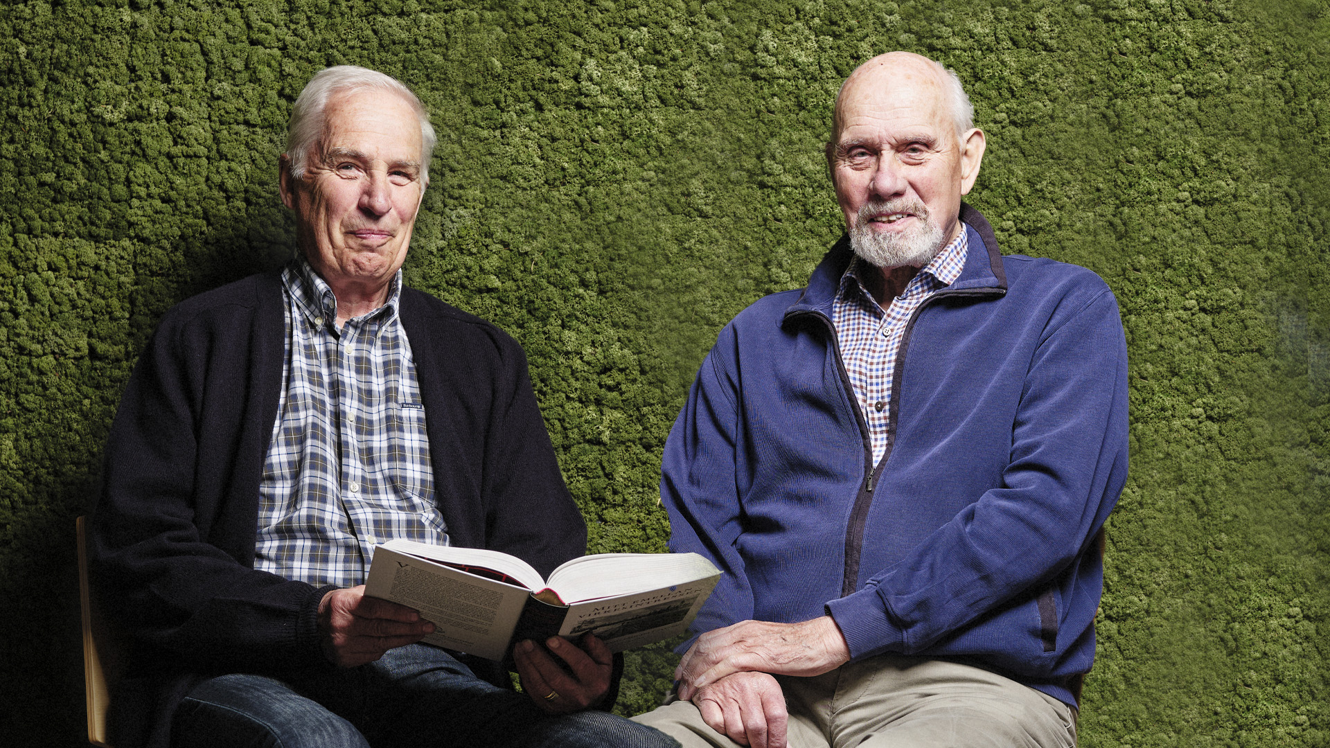 Från litet frö till fullt utslagen blomma