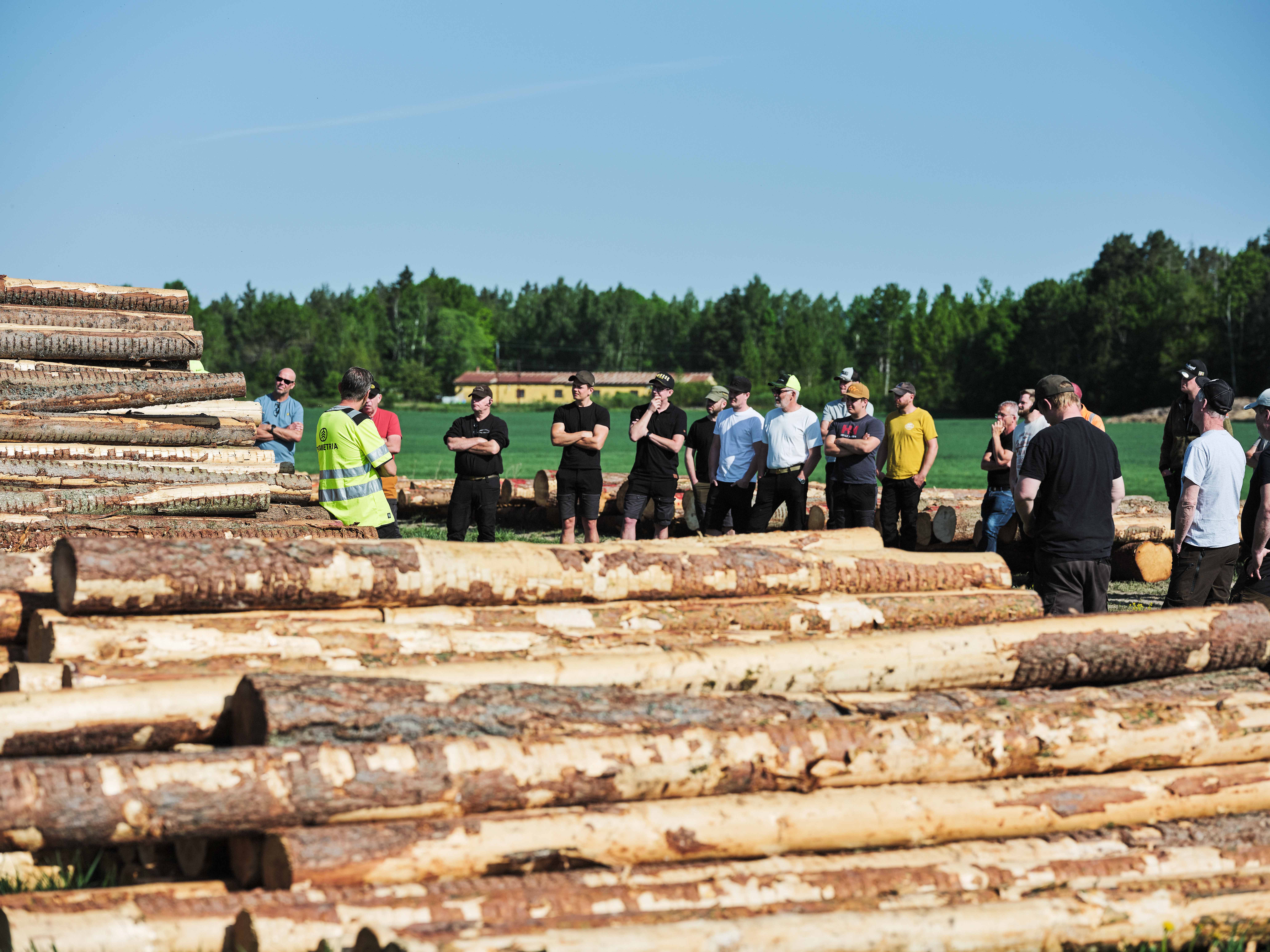 Vägen till ett högre virkesvärde
