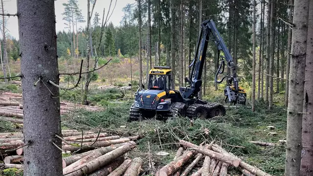 Guldkortet
