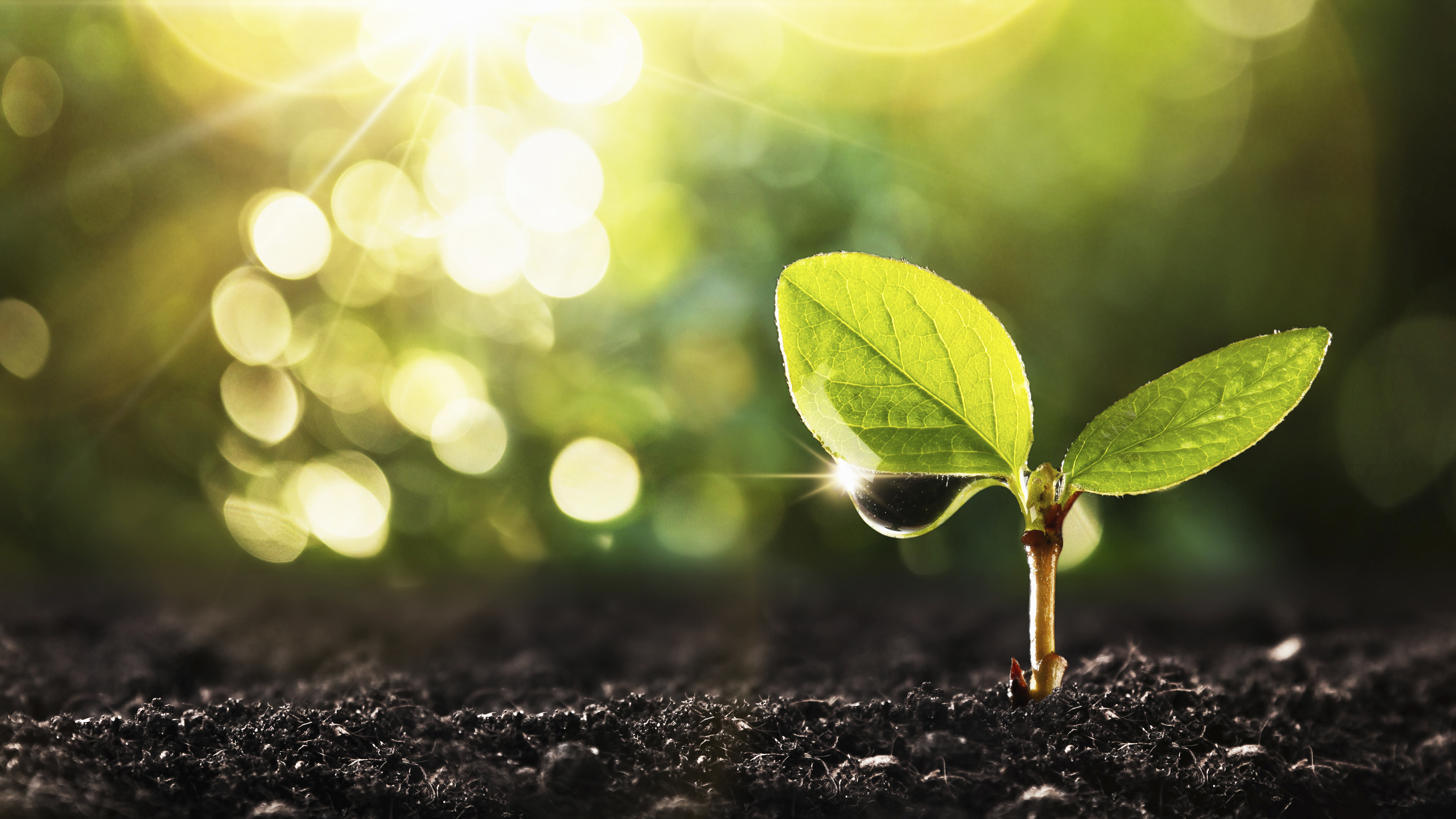 Biometrias utvecklingsportfölj för framtidens utveckling