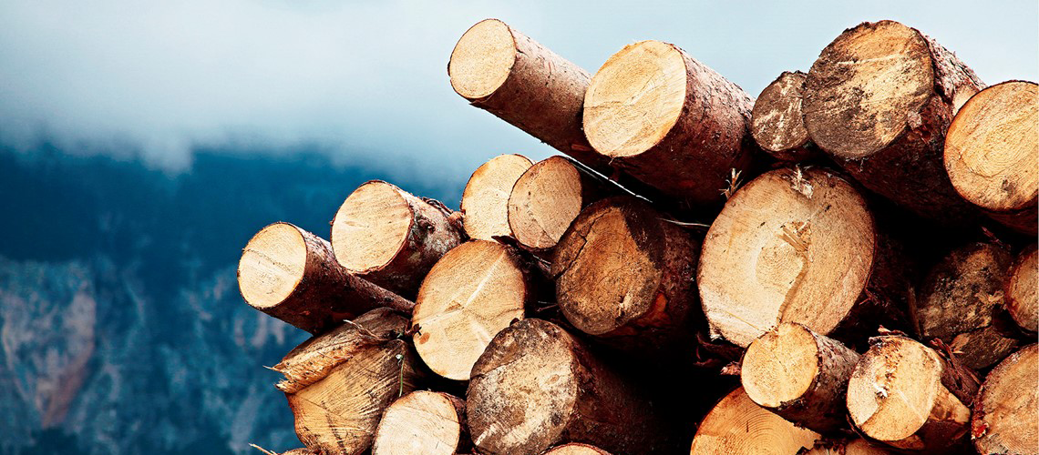 Leveransavisering och Extern insändning - Leverans 2, PI 25