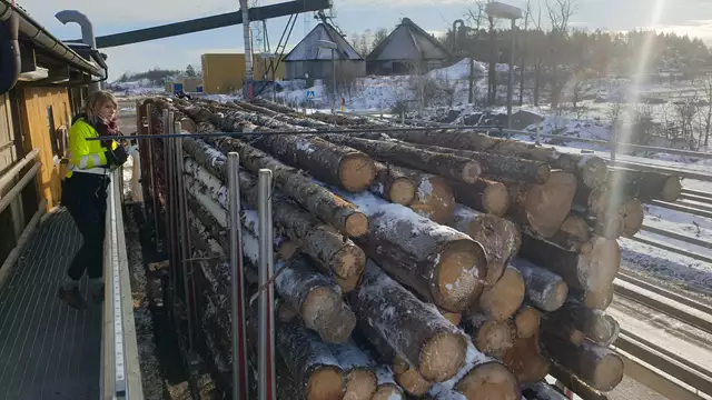 Travmätning av rundvirke